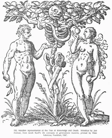 The Tree of Knowledge and Death